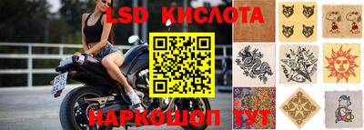 гидра Рыбинск