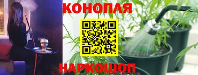 гидра Рыбинск