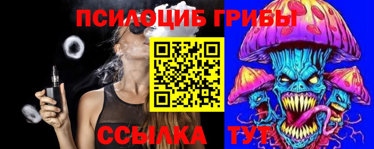 Новозыбков  Псилоцибиновые грибы ЛСД  Вход с VPN 