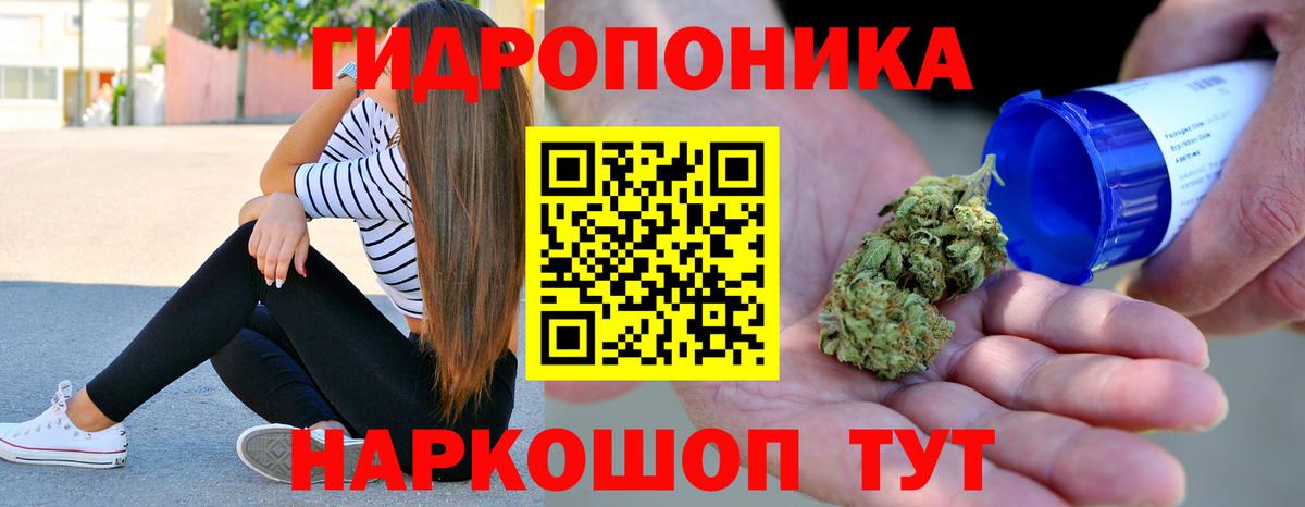Новозыбков  Марихуана Bruce Banner  Шишки марихуана конопля  Вход с VPN  Канабис Ganja  Каннабис THC 21% 