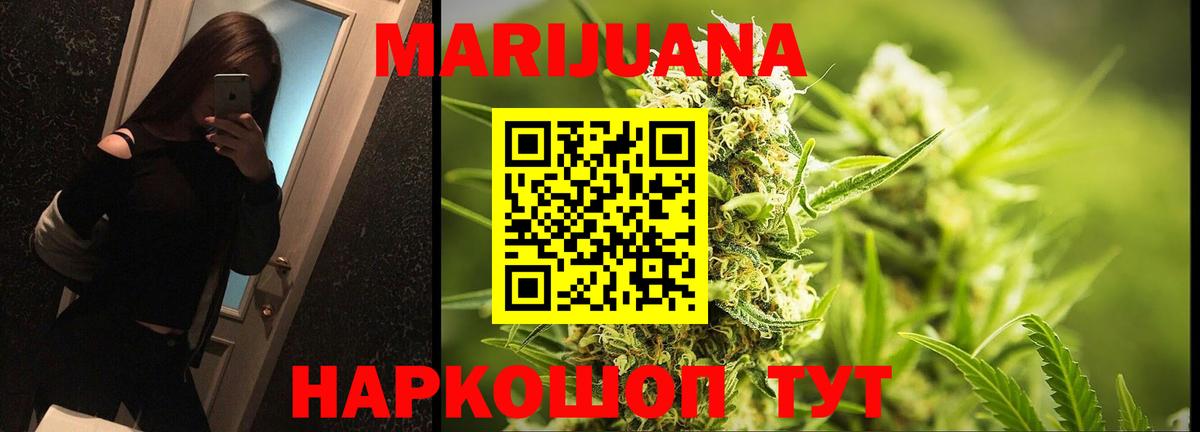 Конопля SATIVA & INDICA Новозыбков